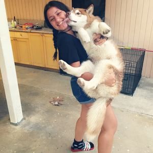 Meet your Posher, Perchui